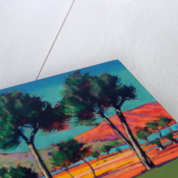 Son Vida by Paul Powis