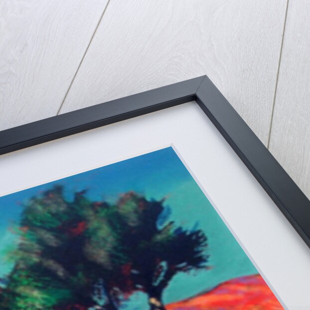 Son Vida by Paul Powis