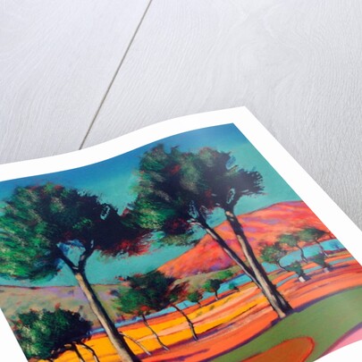 Son Vida by Paul Powis