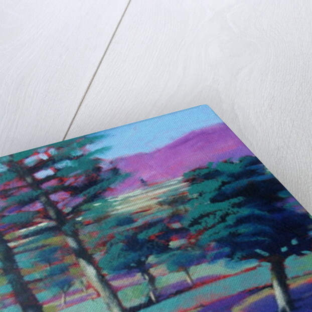 Sunny Afternoon by Paul Powis