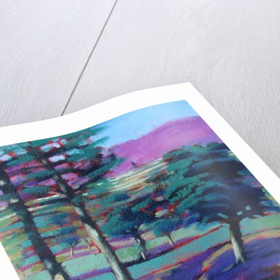 Sunny Afternoon by Paul Powis