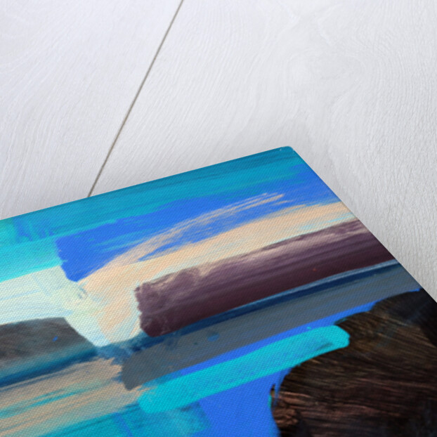 Coast II, 2010 by Paul Powis