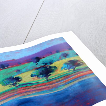 Exe Estuary, 2010 by Paul Powis