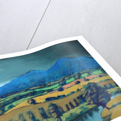 Malverns, 2010 by Paul Powis