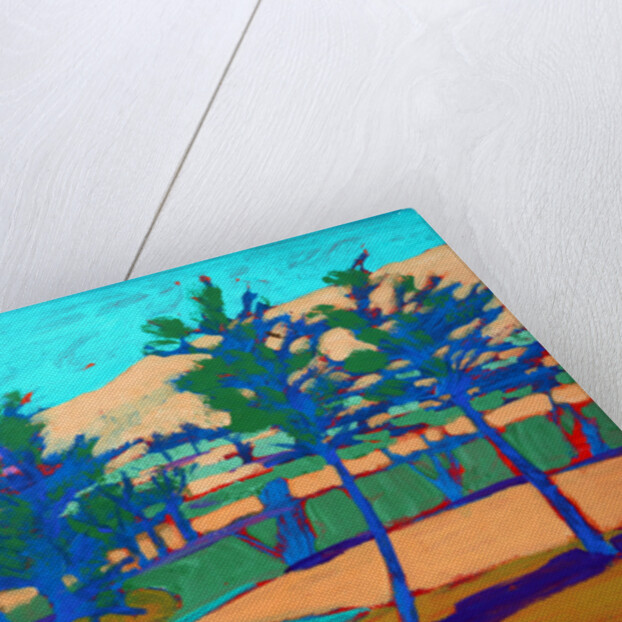 Son Vida, 2010 by Paul Powis