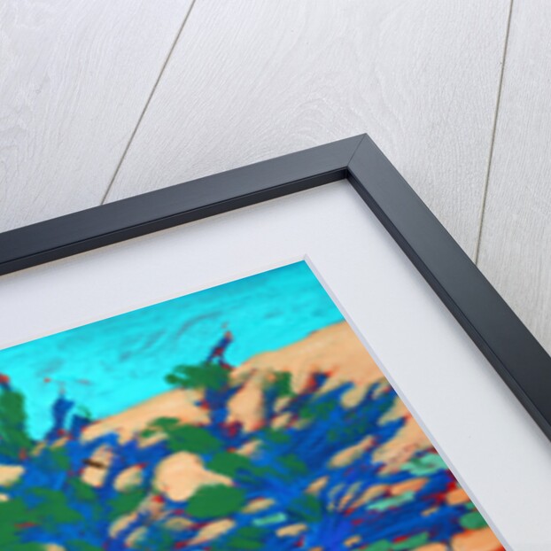 Son Vida, 2010 by Paul Powis