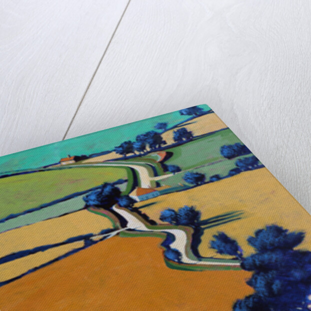 Country Lane Spring, 2016 by Paul Powis