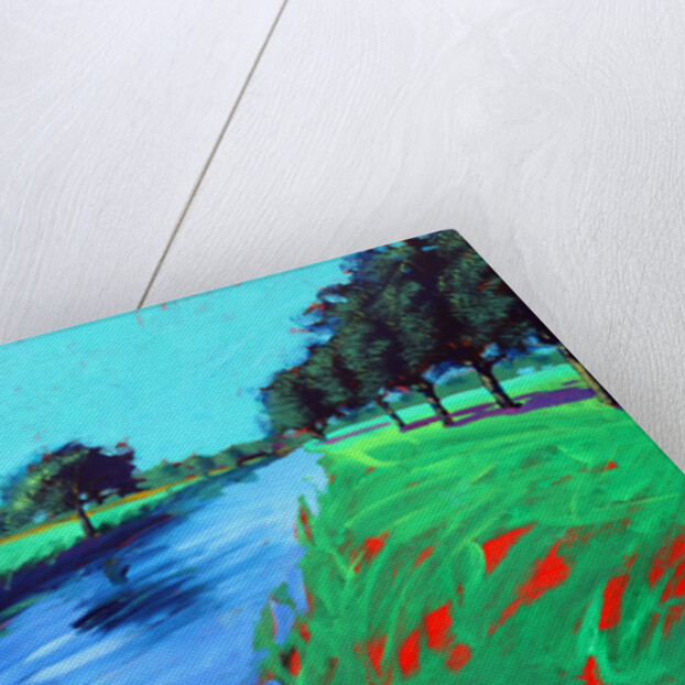 River Avon, 2016 by Paul Powis