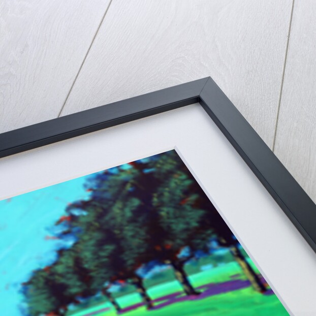 River Avon, 2016 by Paul Powis