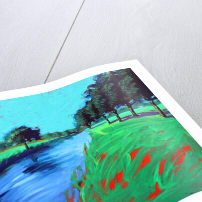 River Avon, 2016 by Paul Powis