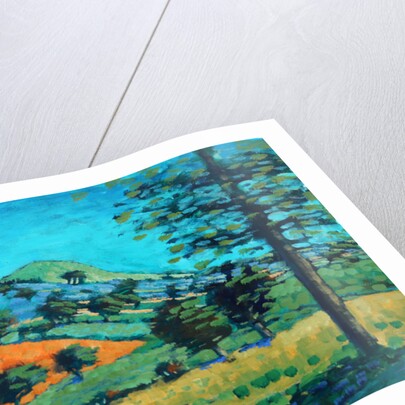 Malvern Hills, 2015 by Paul Powis