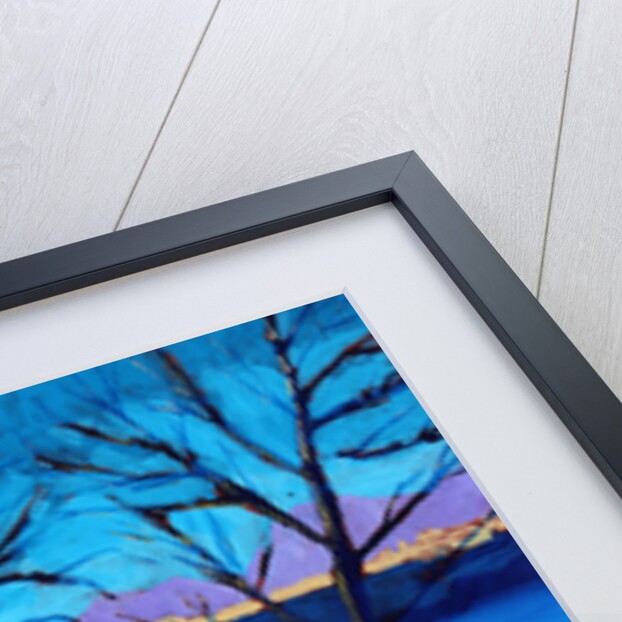 Peguera, 2016 by Paul Powis