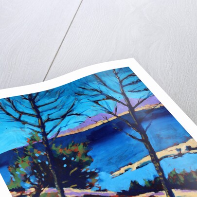 Peguera, 2016 by Paul Powis