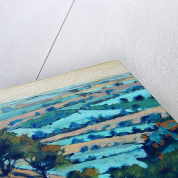 Ragged Stone Hill, 2014 by Paul Powis