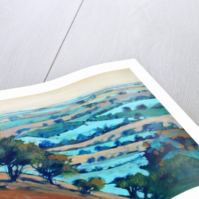 Ragged Stone Hill, 2014 by Paul Powis