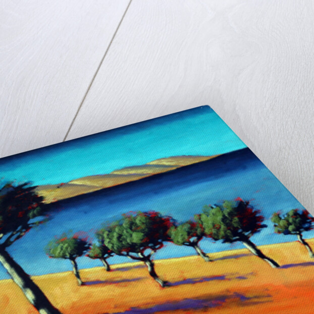 The Bay, 2014 by Paul Powis