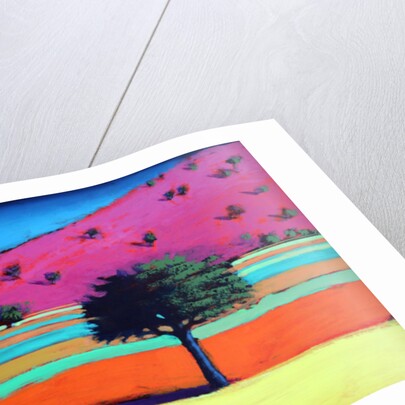 Castlemorton IV by Paul Powis