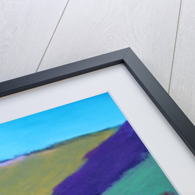 Olive Trees by Paul Powis