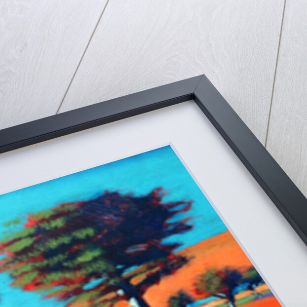 Son Vida I, 2014 by Paul Powis