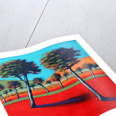 Son Vida I, 2014 by Paul Powis