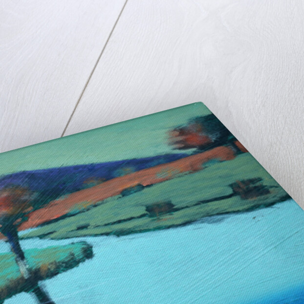 Golden Valley, 2010 by Paul Powis