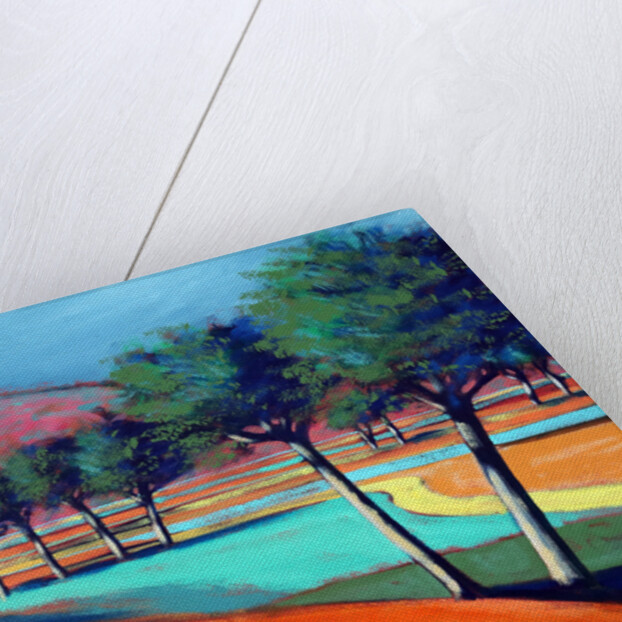 Son Vida II, 2006 by Paul Powis