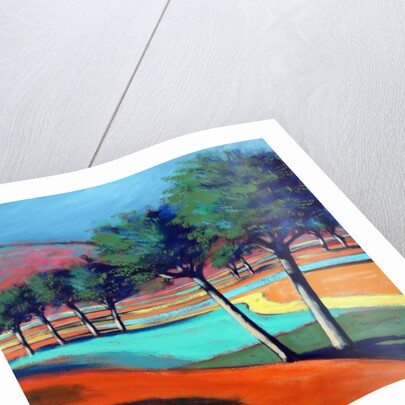 Son Vida II, 2006 by Paul Powis