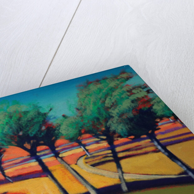 Son Vida III, 2006 by Paul Powis