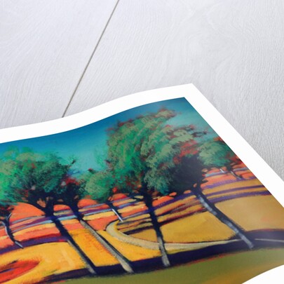 Son Vida III, 2006 by Paul Powis