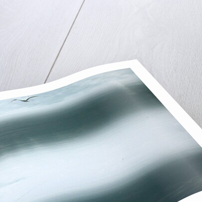 Night Fishing, 2010 by Paul Powis