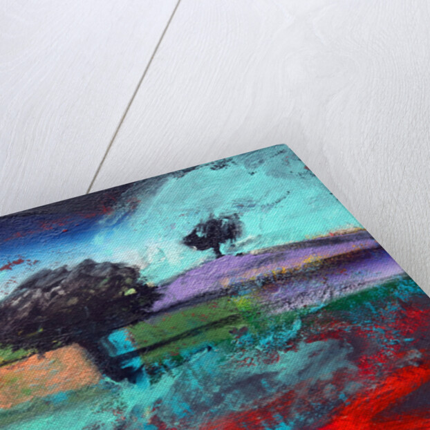 Crookbarrow Hill, 2012 by Paul Powis