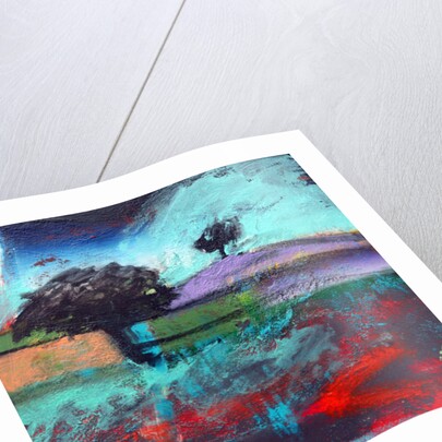 Crookbarrow Hill, 2012 by Paul Powis