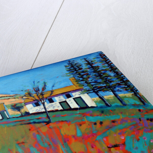 Le Marche, 2014 by Paul Powis