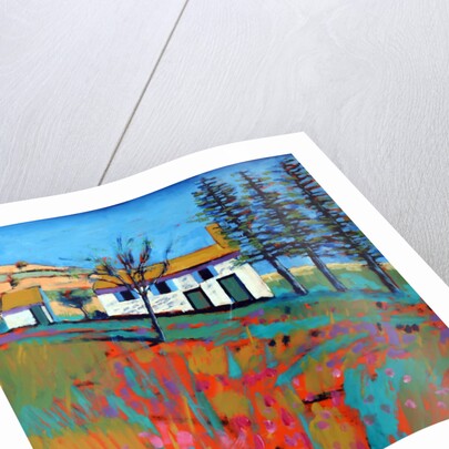 Le Marche, 2014 by Paul Powis