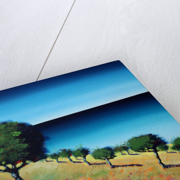 The Bay II, 2014 by Paul Powis