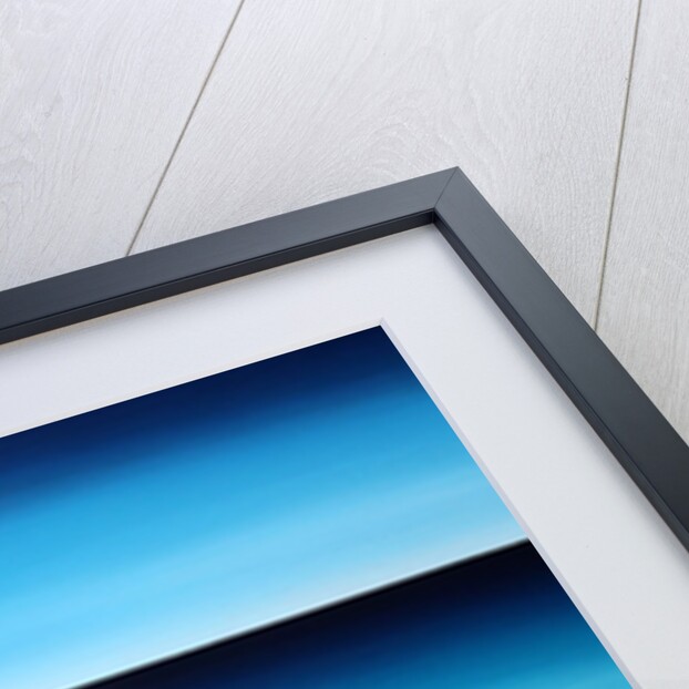 The Bay II, 2014 by Paul Powis