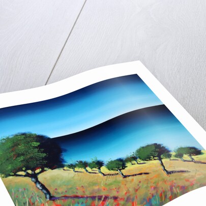 The Bay II, 2014 by Paul Powis