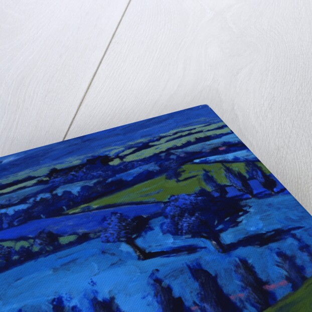 Blue landscape, 2009 by Paul Powis