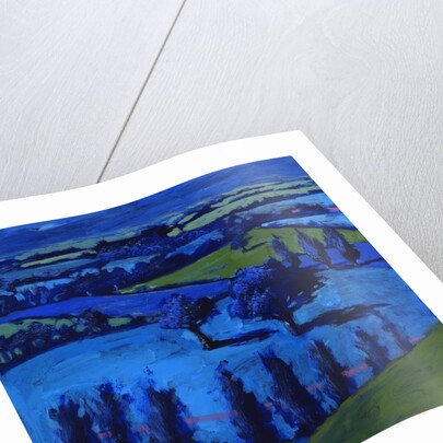 Blue landscape, 2009 by Paul Powis