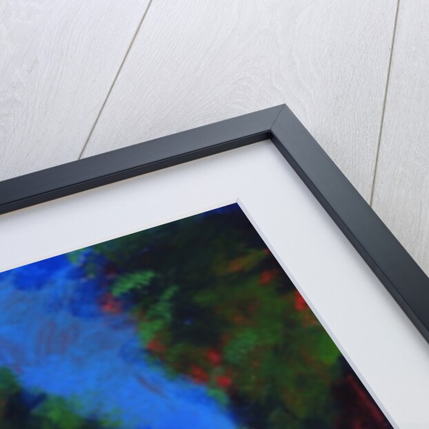 Avenue, 2008 by Paul Powis