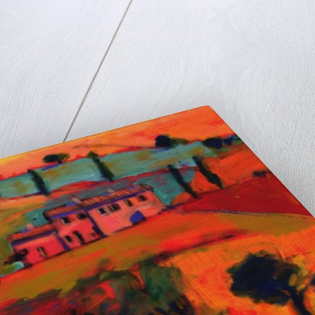 Tuscany, 2008 by Paul Powis