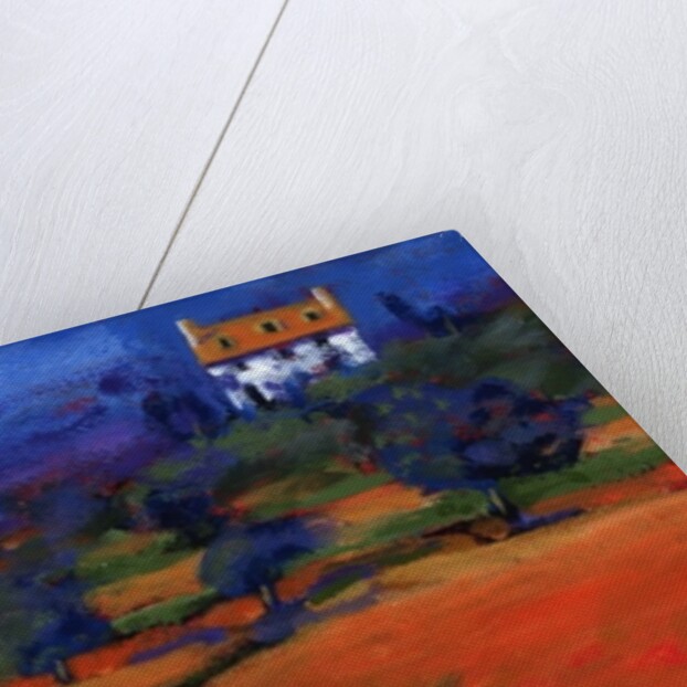 Summer at the white house, 2009 by Paul Powis