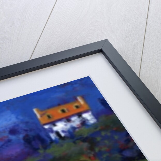 Summer at the white house, 2009 by Paul Powis