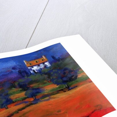 Summer at the white house, 2009 by Paul Powis