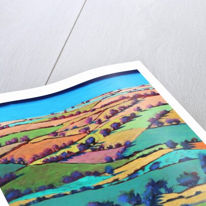 Teme Valley summer I by Paul Powis