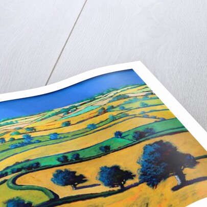 White Cross by Paul Powis