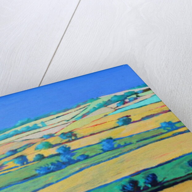 White Cross close up 1 by Paul Powis