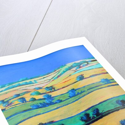 White Cross close up 1 by Paul Powis