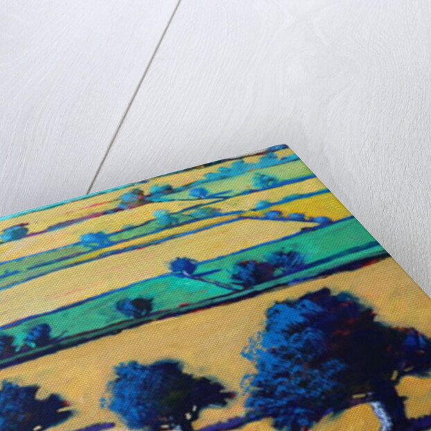 White Cross close up 2 by Paul Powis