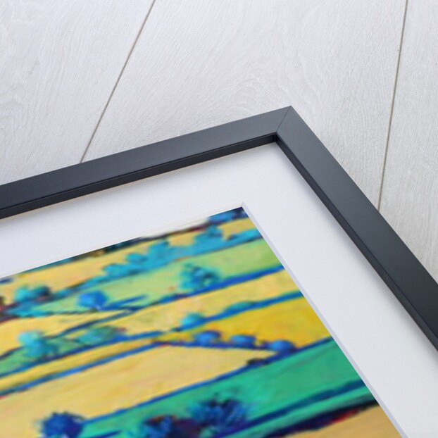 White Cross close up 2 by Paul Powis